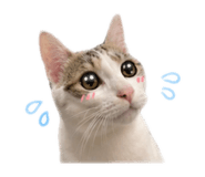 843733293