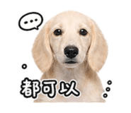 843733603