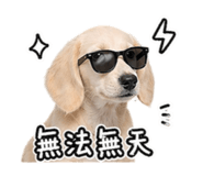 843733605