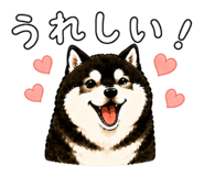 843733697