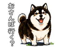 843733699