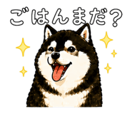 843733702