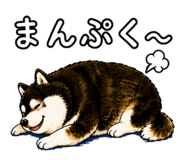 843733703