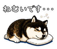 843733704