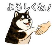 843733706