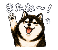 843733707