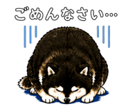 843733709