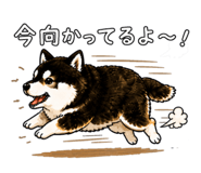 843733711