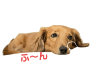 843734025