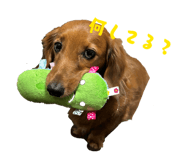 843734045
