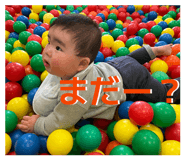 843734075