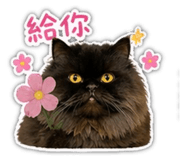 843734385