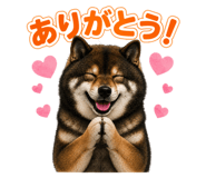 843734413