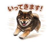 843734415