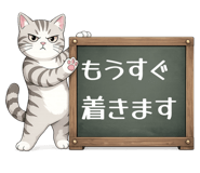 843734548