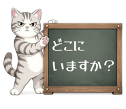 843734553