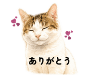 843734714