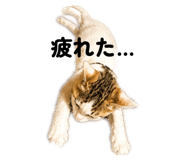 843734715