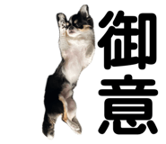 843735205