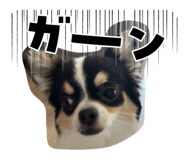 843735207