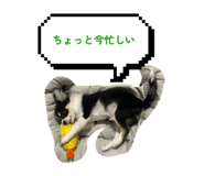843735213