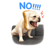 843735220