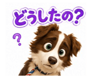 843735271
