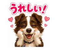 843735273