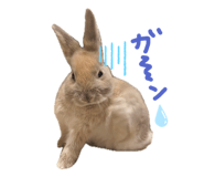 843735555