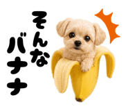 843736099
