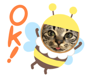 843736243