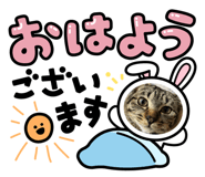 843736257