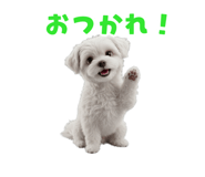 843737116