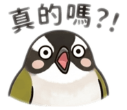 843737655