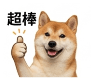 843739100