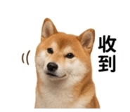 843739103