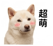 843739104