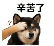 843739106