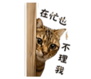 843739186