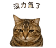 843739197