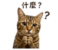 843739212