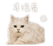 843740146