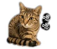 843740490
