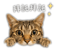 843740492