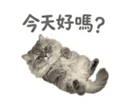 843740550