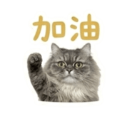 843740555