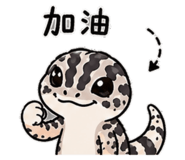843740572