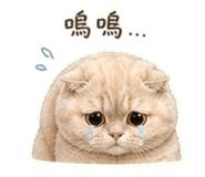 843740786