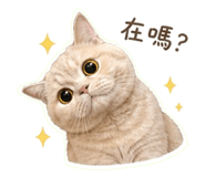 843740795