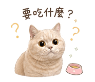 843740796